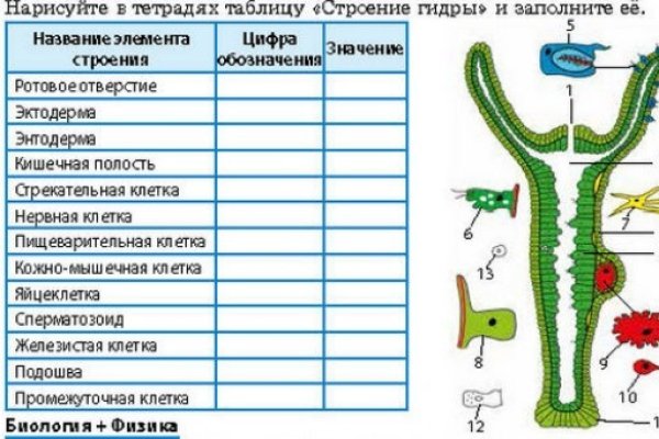 Ссылка на блэкспрут через тор 1blacksprut me