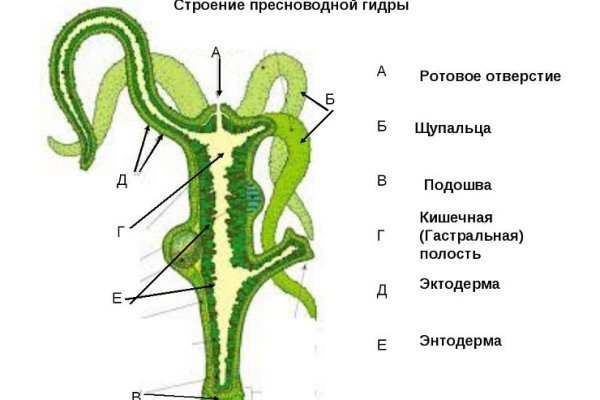 Black sprut не фишинг