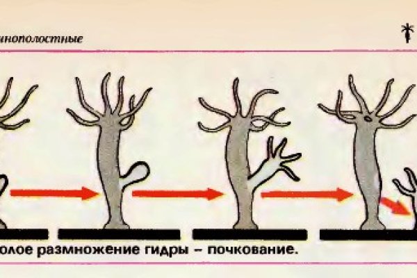 Клир блэкспрут 1blacksprut me