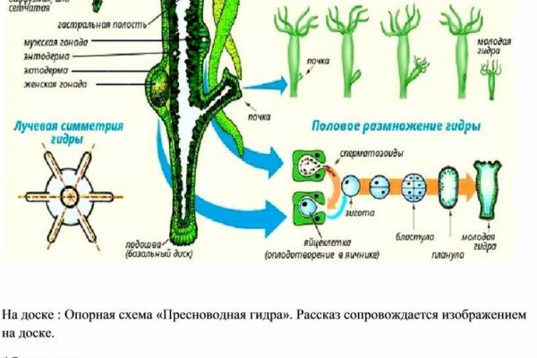 Блэкспрут сайт даркнет ссылка