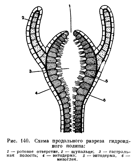 Блэкспрут сайт bs2web top