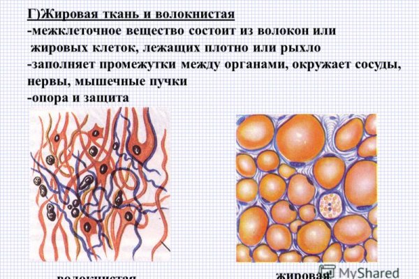 Блэк спрут что за сайт bs2web top